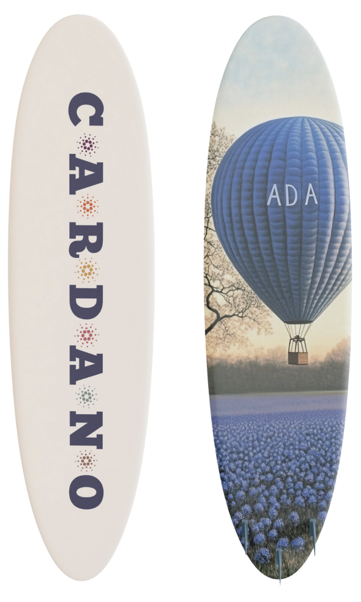 Blue Horizon Surfboard