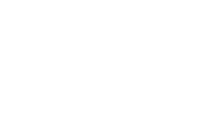Mintcraft Studios